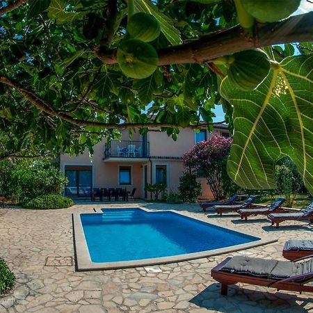 House /Villa Maja Ližnjan Eksteriør billede